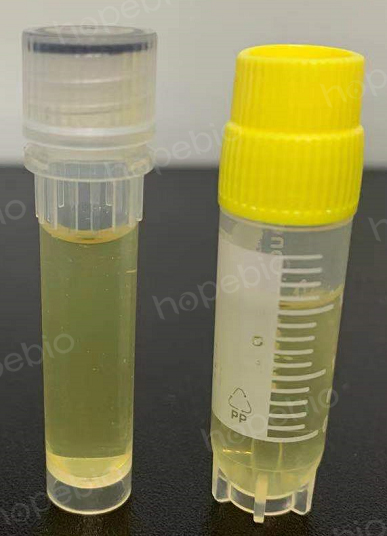 科技重塑生命之源，最新型液體菌種培養(yǎng)器開啟培育新紀元